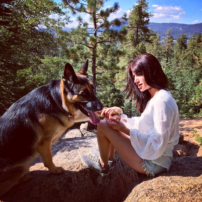 Sogand spending time with a German Shepherd outdoors